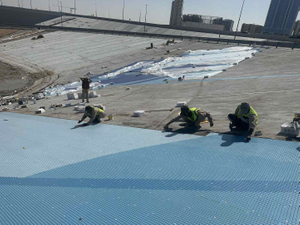 Dubai's Ecological Mosaic Harmony in Care1